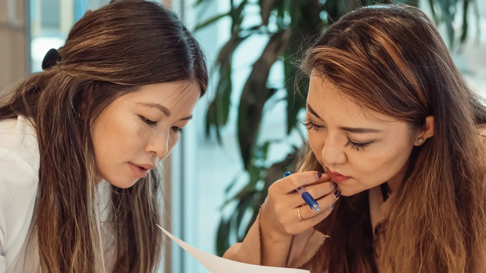 병원과 MSO 사이 역할과 책임의 충돌